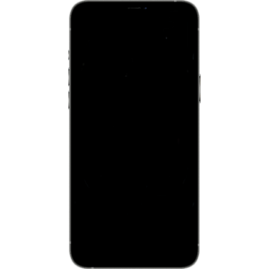 iPhone 12 Pro Max Screen Repair