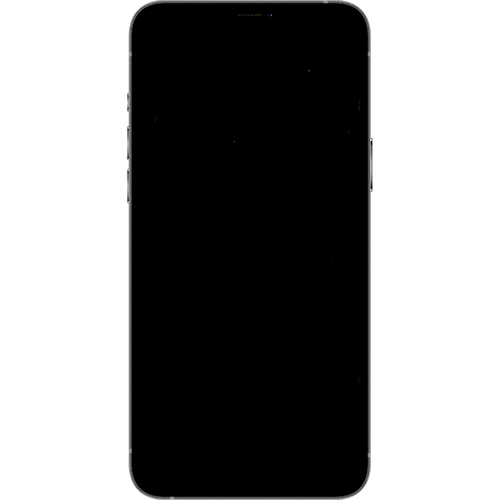 iPhone 12 Pro Max Screen Repair