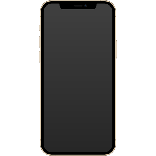 iPhone 12 Pro Screen Repair