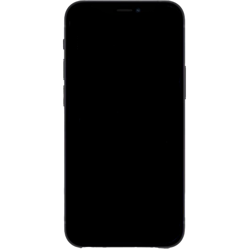 iPhone 12 mini Repair